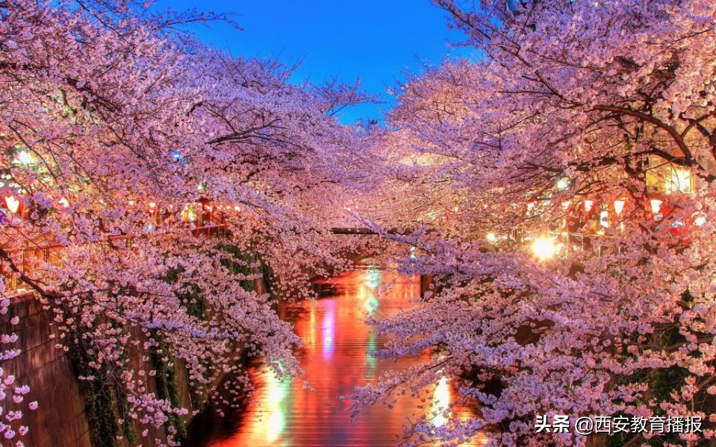 西安五大名校本部与分校区别,西安五大名校附中是哪些