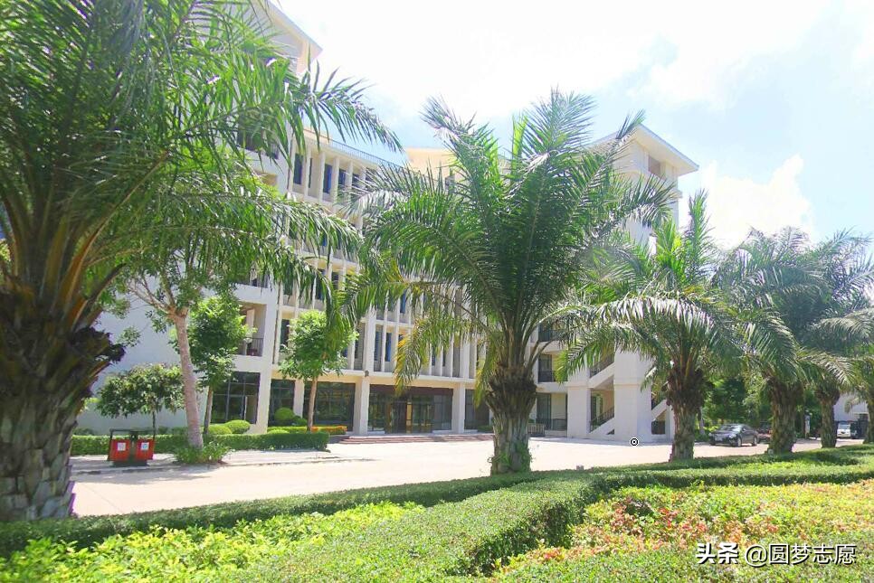 河南文科400到450分能报什么大学,高考志愿填报河南能报几个学校