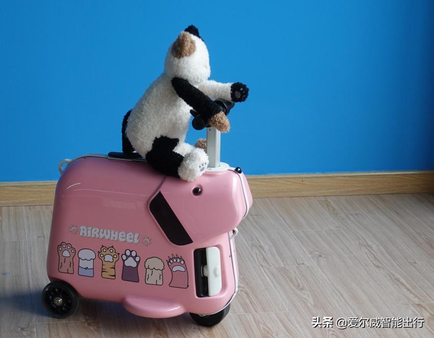 和“汪星人”去旅行,爱尔威儿童骑行箱SQ3粉色版测评