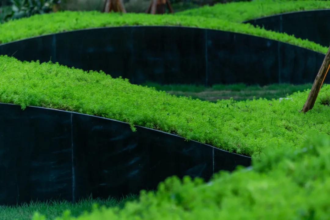 万科金开悦府,万科金开悦府高压线