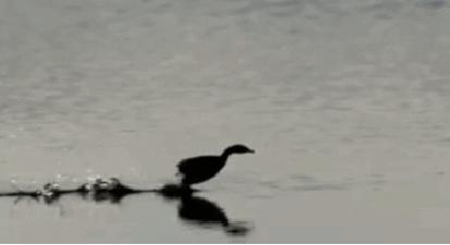 超市最辛苦的区域,超市上班站立9个小时很辛苦吗