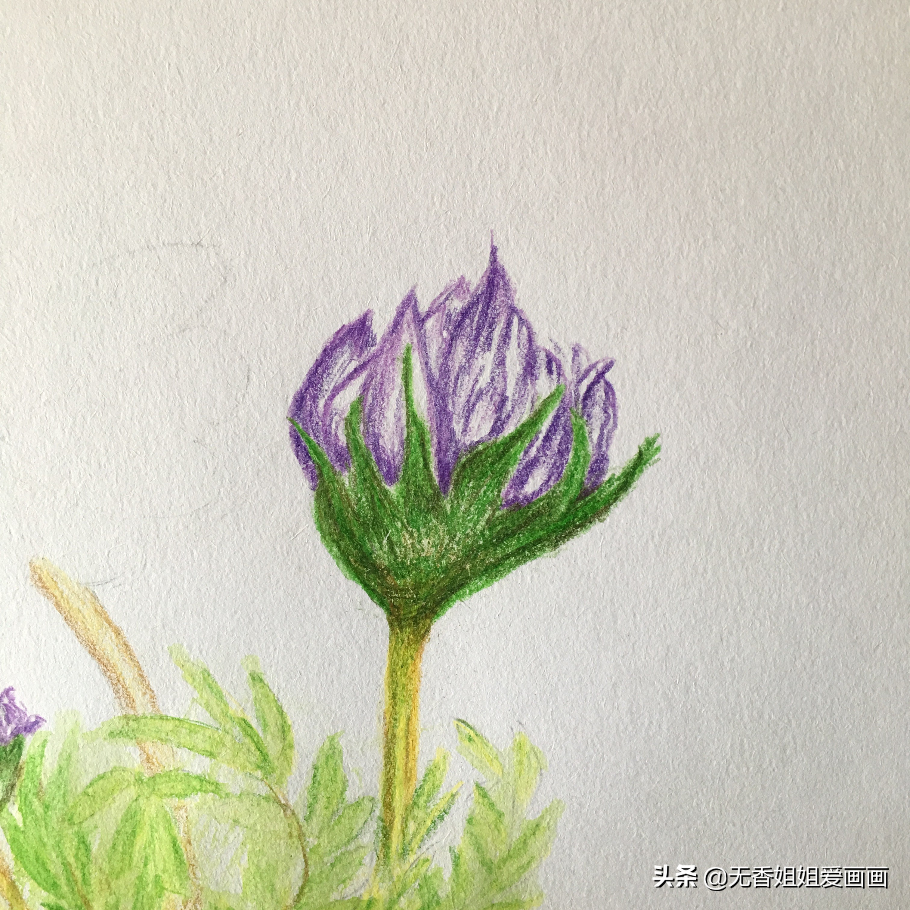 会画画真的是很开心的事情,会画画就要什么都画