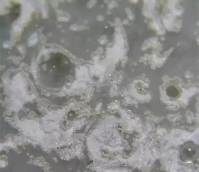 古陶瓷鉴定常识,别被忽悠了素材