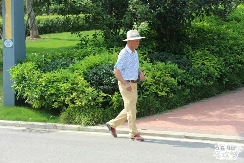 庐阳老城内藏着一处最大的综合性森林公园，人少景美，关键还免费