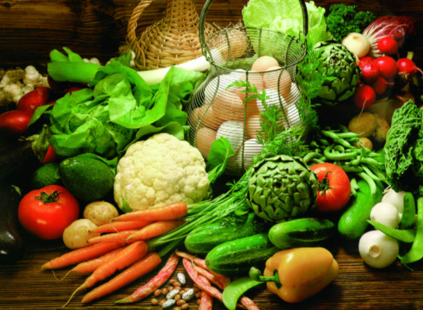 法斗吃什么狗粮好又便宜,法斗吃什么狗粮好经济又实惠