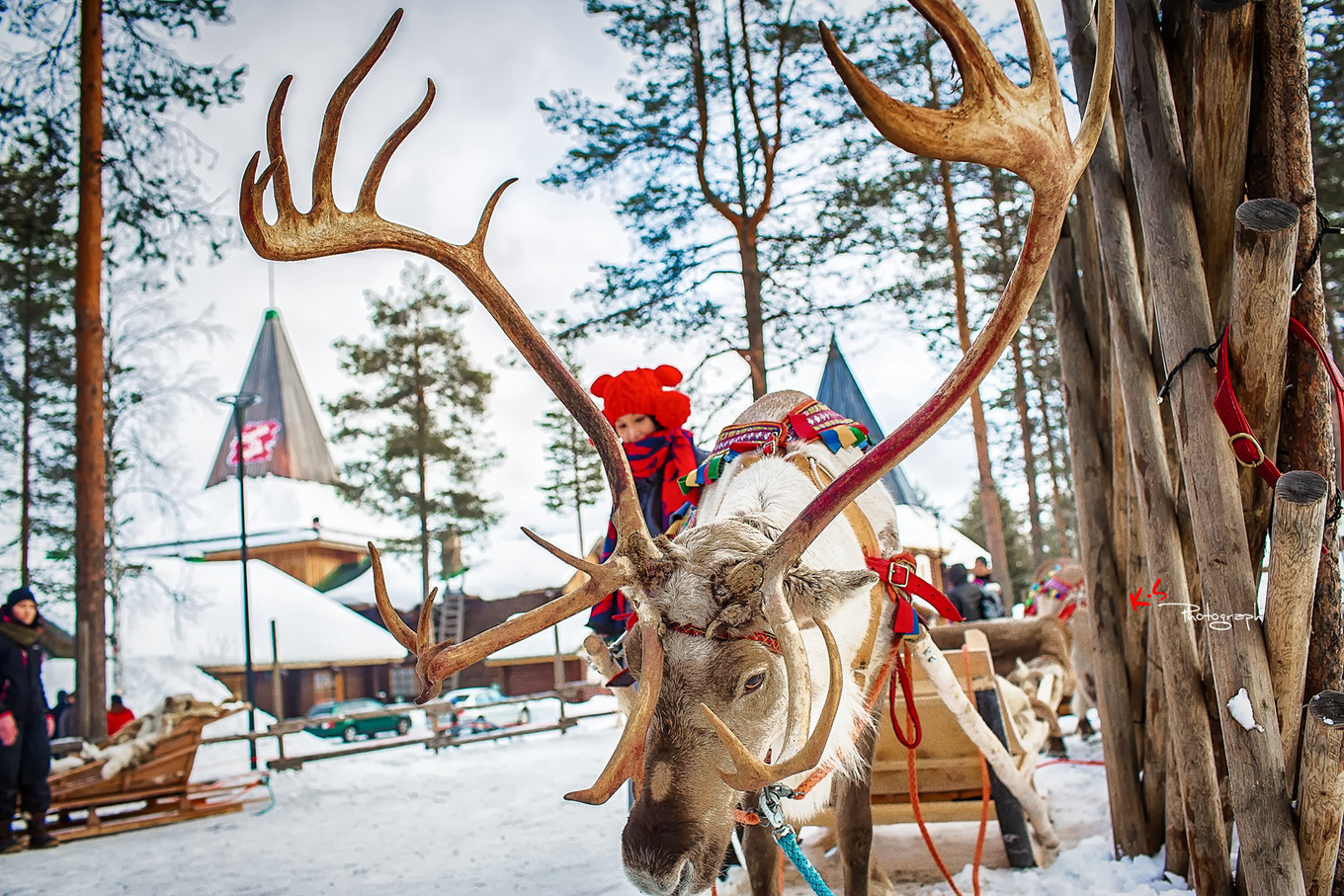 果小姐的慢生活之冰雪奇缘