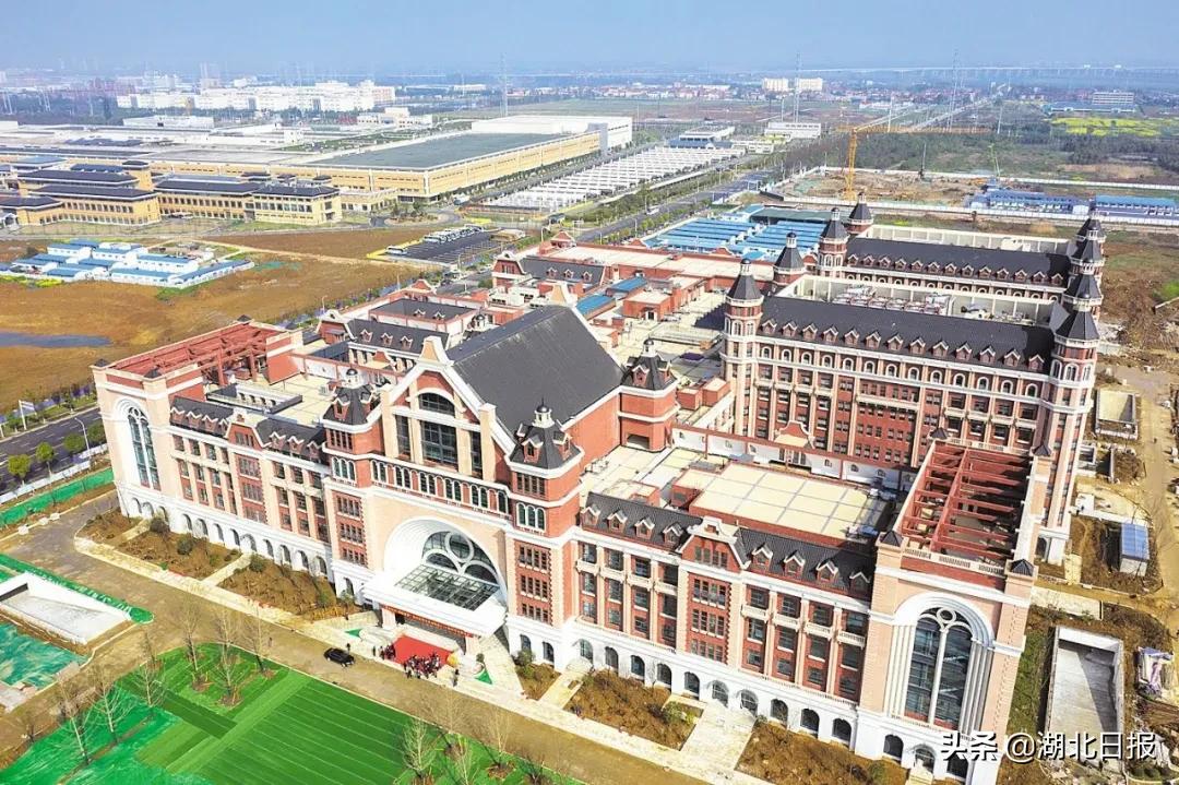 长文最新更新视频,重磅文章最新