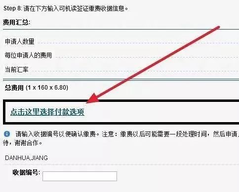 去美国做月嫂的签证怎么办理,如何办理保姆美国签证