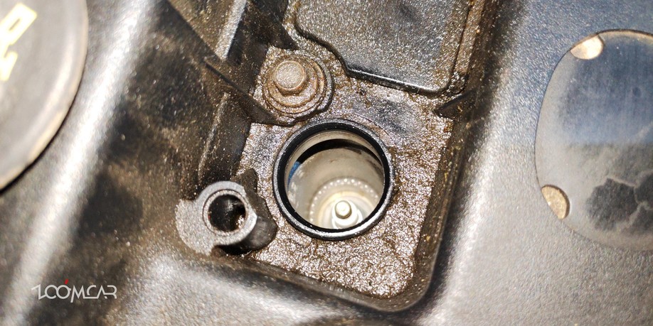 马六之前的马六,马六的成长史