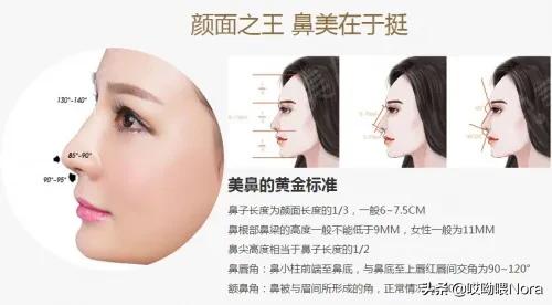 最自然的小翘鼻,鼻综合小翘鼻图片