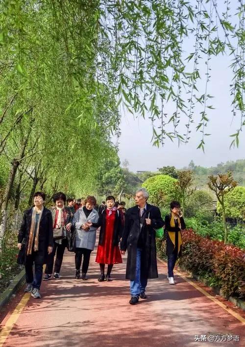 梦语分享励志视频,梦语分享全部视频