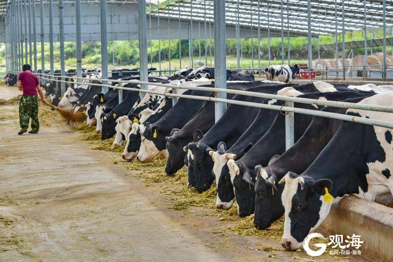 青岛贵州安顺扶贫项目,青岛定西东西部扶贫协作