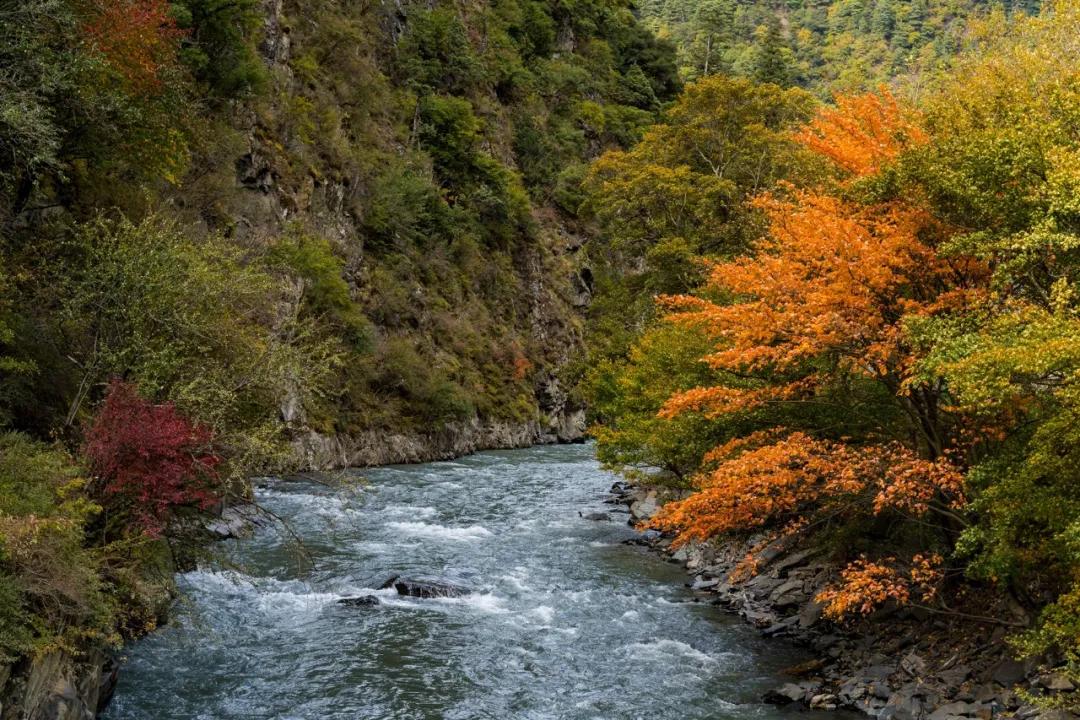 绫充簹缃楅湼鐜嬪北鏃呮父瑙嗛,绫充簹缃楅湼鐜嬪北鍏ㄦ櫙