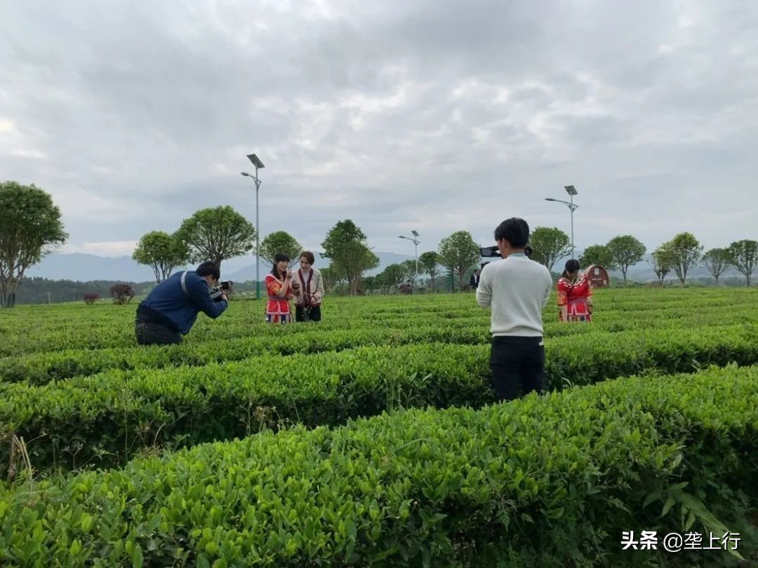 赏美景品好茶鉴好物，全国媒体团“陶醉”通城