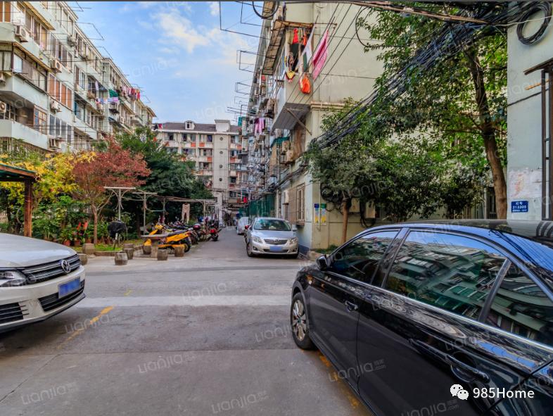 985home,上海师范大学附属小学梯队