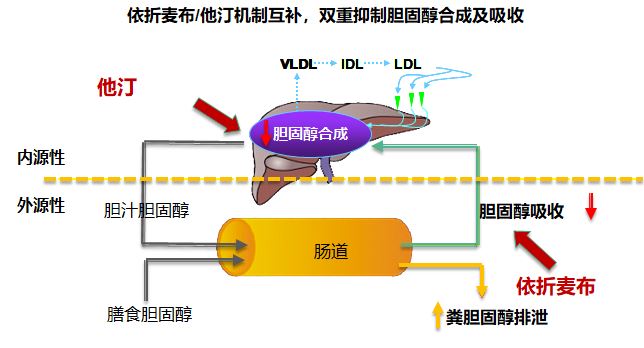 冠状动脉支架为什么又要放球囊,冠状动脉放了支架后可以吃什么