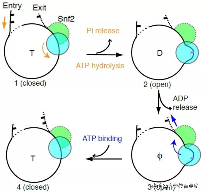 清华最新科技研究成果,清华大学尖端科技成果