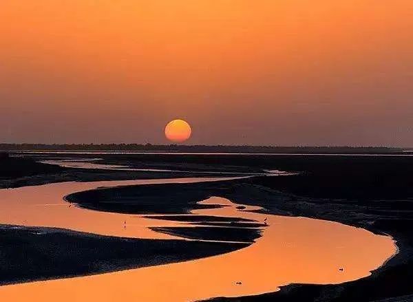 古诗词借喻手法,比喻借代怎么区分