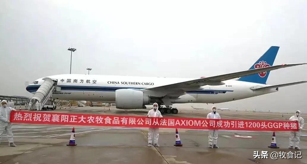 正大牧业集团总部在哪里,正大农牧食品及零售