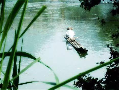 大自然的规律和启示,大自然的预知能力