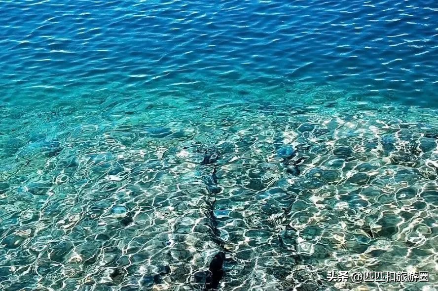 持美国签证去多米尼加是免签吗,美国签证免签日本吗