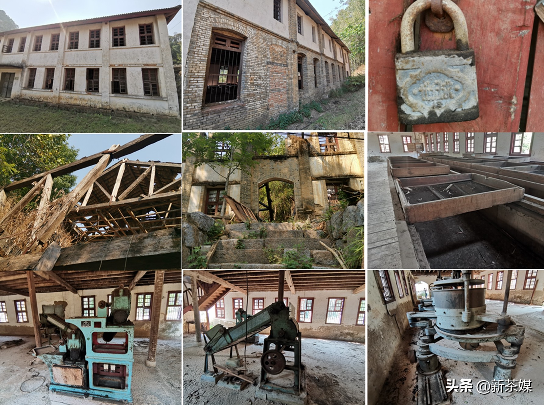 南糯山茶叶的故事,南糯山茶厂视频