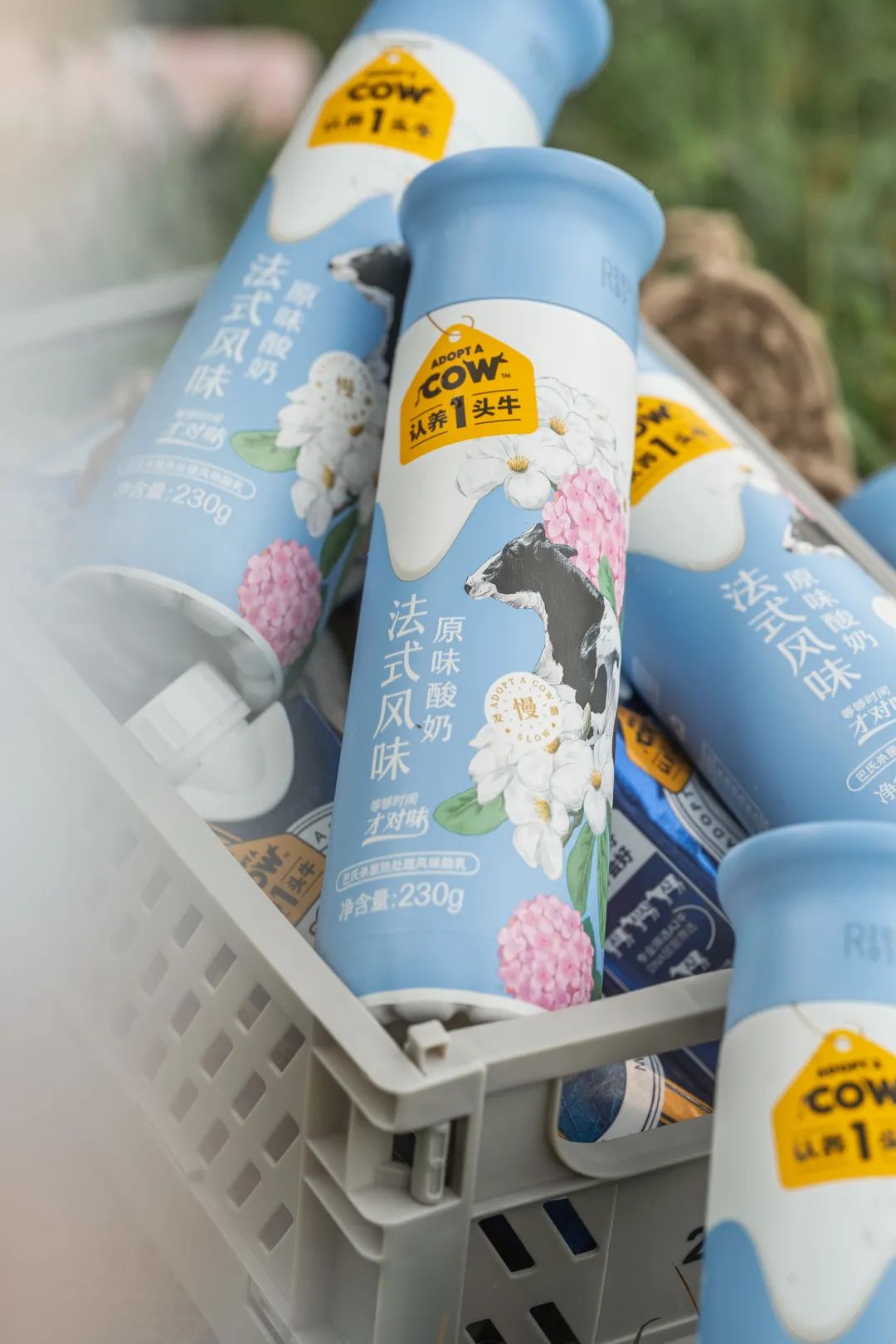 千万网红推荐的牛奶真的好喝吗,网红最好喝的纯牛奶