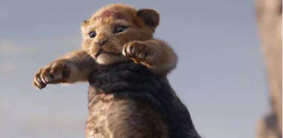 狮子王辛巴成长记完整版,狮子王辛巴的经历带给我们的启示