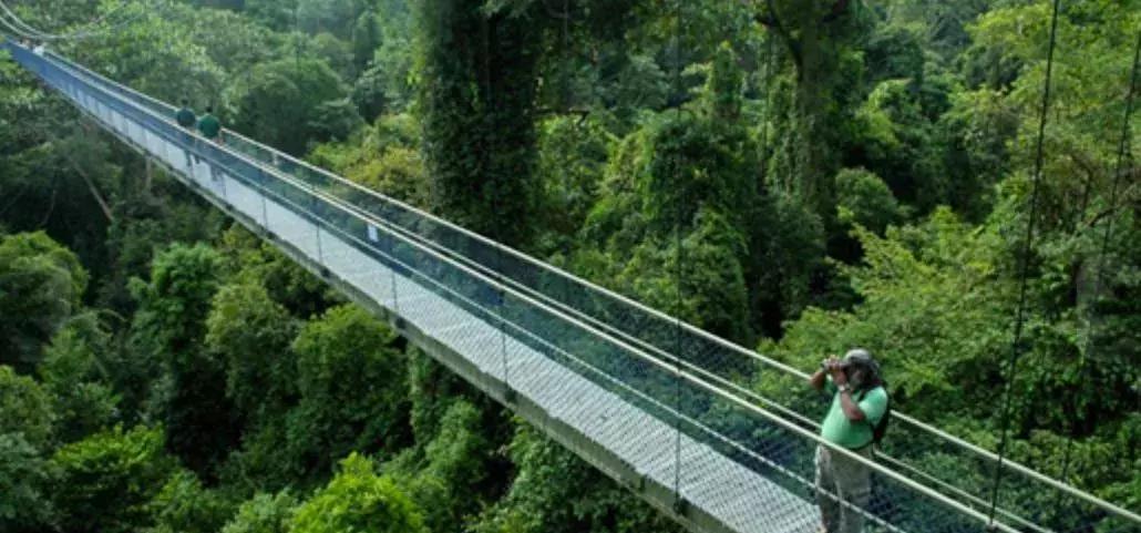 新加坡人口密度大却不拥挤,新加坡和香港哪个人口密度大