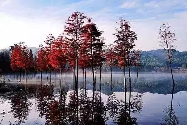 昆明周边旅游推荐地点大全,推荐昆明周边自驾游