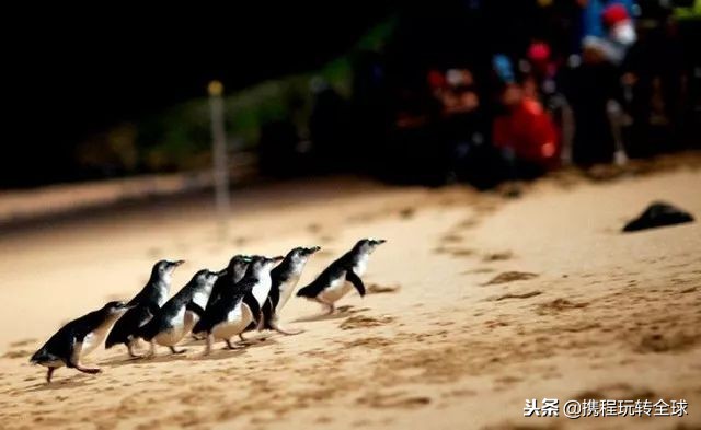 閬垮啲鍦ｅ湴,涓浗閬垮啲鍦ｅ湴