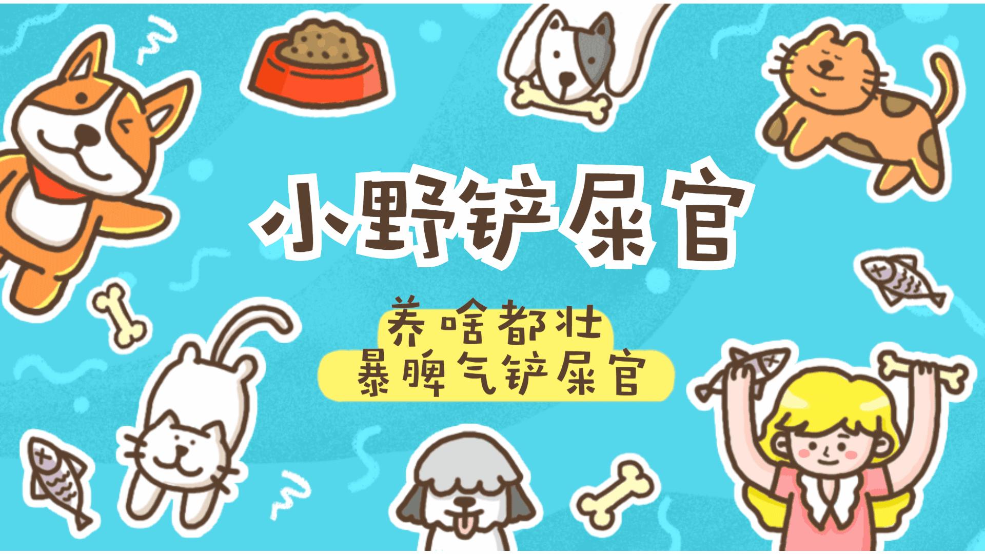 为什么猫咪适合老人养,猫咪步入老年的状态