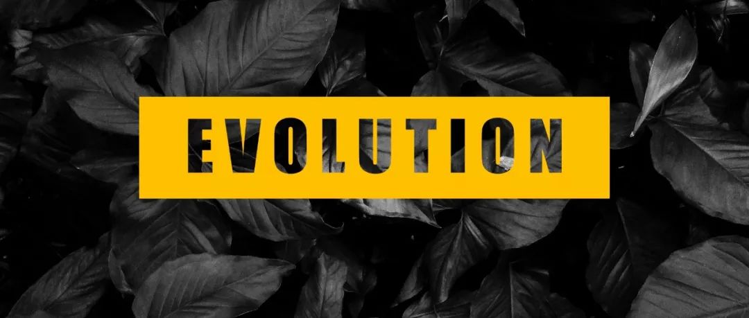 ppt布尔运算详解,ppt布尔运算基础