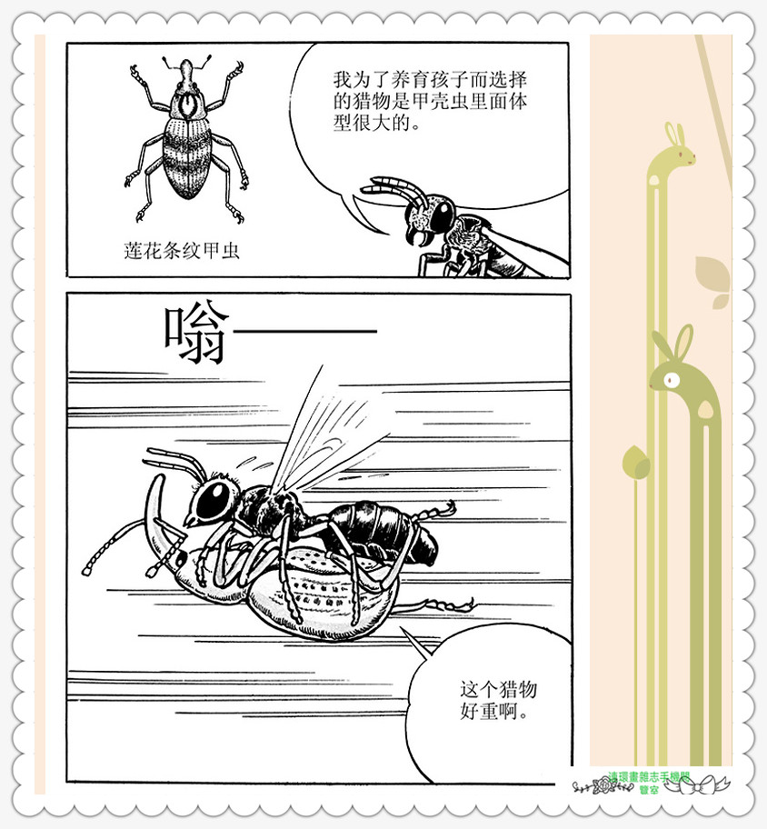 昆虫记法布尔正版全集,昆虫记法布尔阅读答案