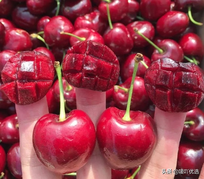 2023智利车厘子最新消息,目前智利车厘子已进入到货高峰期