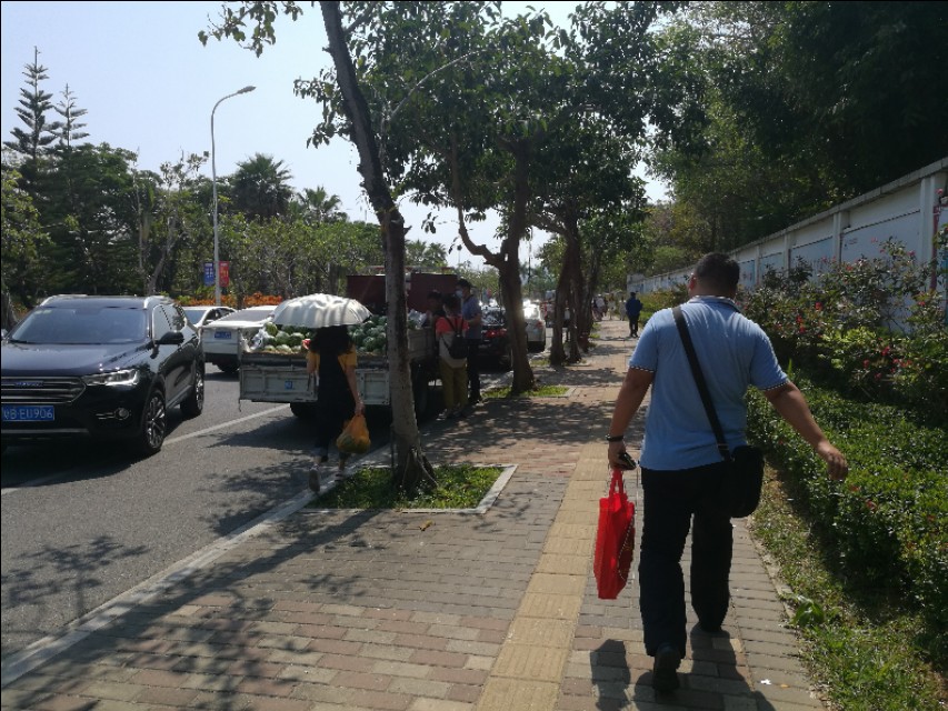 大批候鸟老人到海南三亚养老,海南三亚老人颐养院