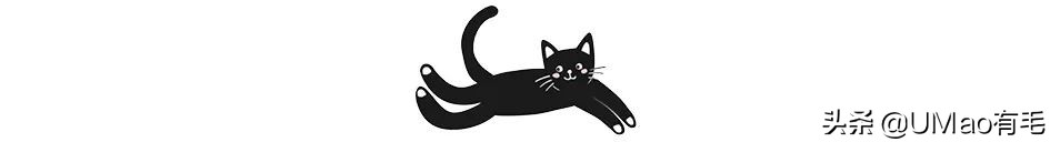 小猫咪托运怎样才最安全,如何托运小猫咪