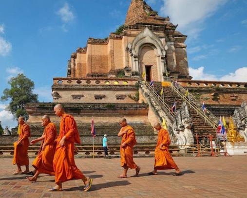 泰国毒奶服务的危害,泰国毒奶服务新闻