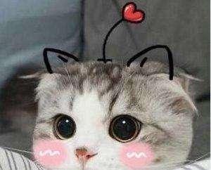 最好用的护肤品排行榜前十名进口,全球公认最好用的6款护肤品