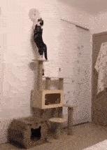 大叔刷百万礼物,大叔刷100万见网红