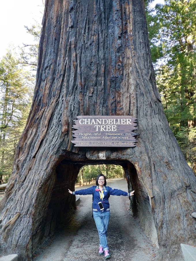 西雅图到旧金山自驾游,西雅图到墨西哥旅游路线攻略