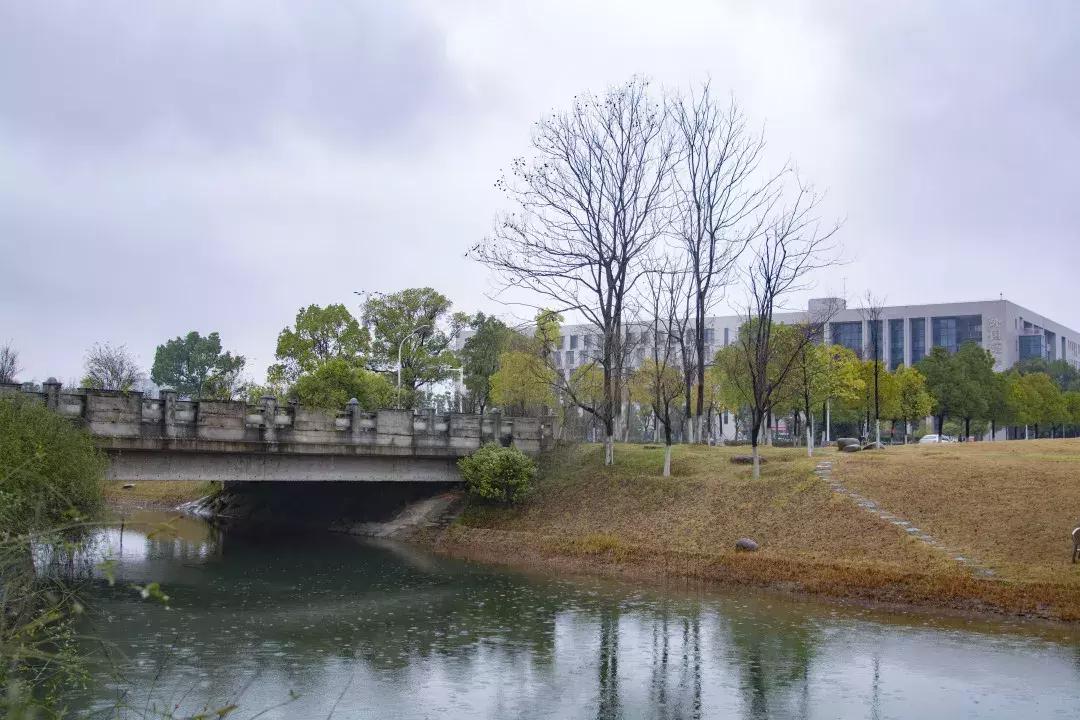 中南路事件,关于中南的那些事短剧