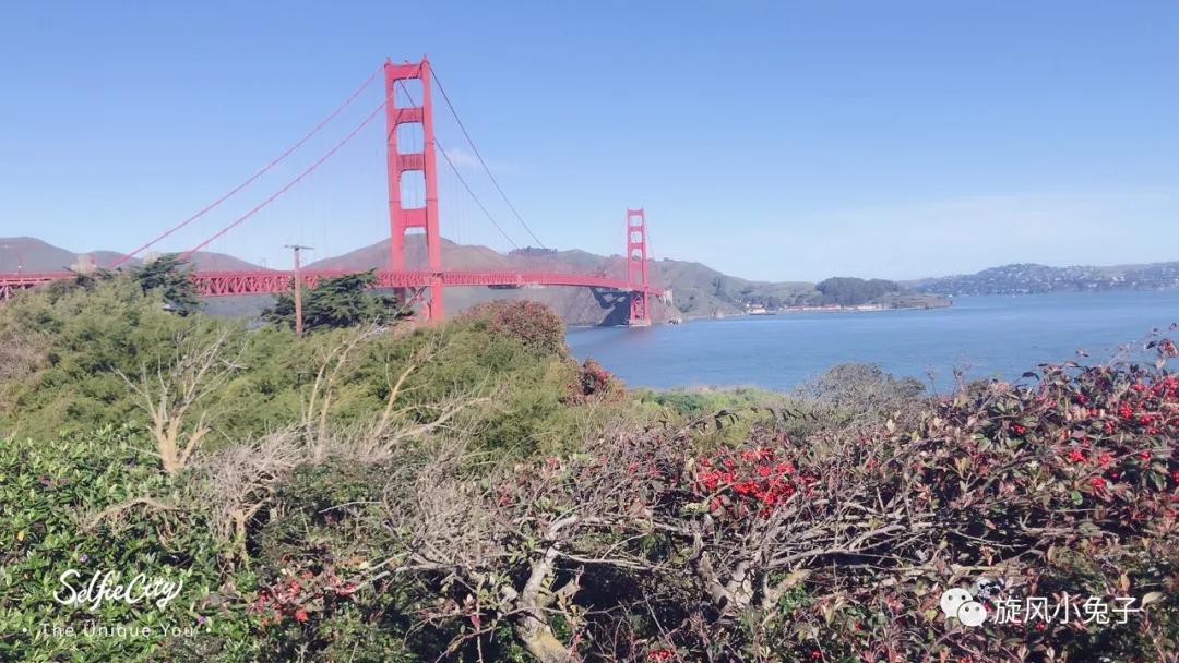 加州沿海1号公路,加州沿海一号公路一日游推荐