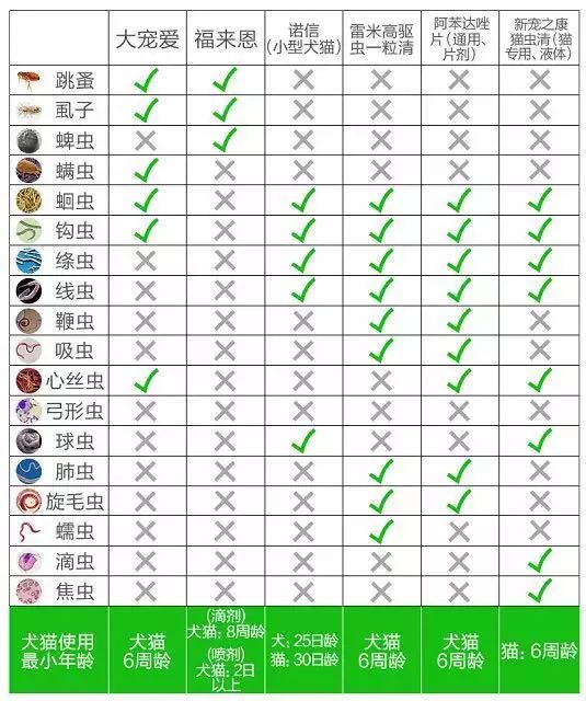 给宠物驱虫,给猫咪体外驱虫怎么驱虫
