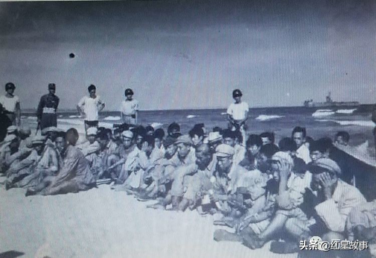 金门岛之战惨败的教训,回顾金门登陆战在线阅读