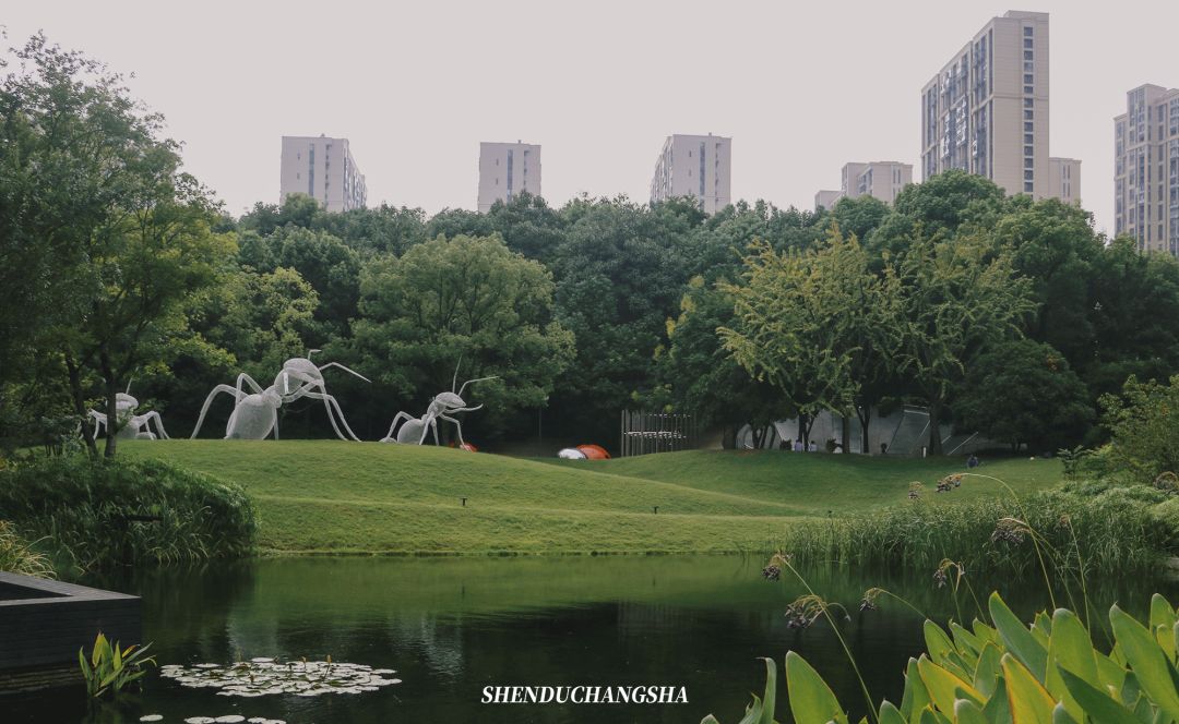 长沙秋季旅游景点推荐,长沙旅游攻略必玩的十大景点推荐