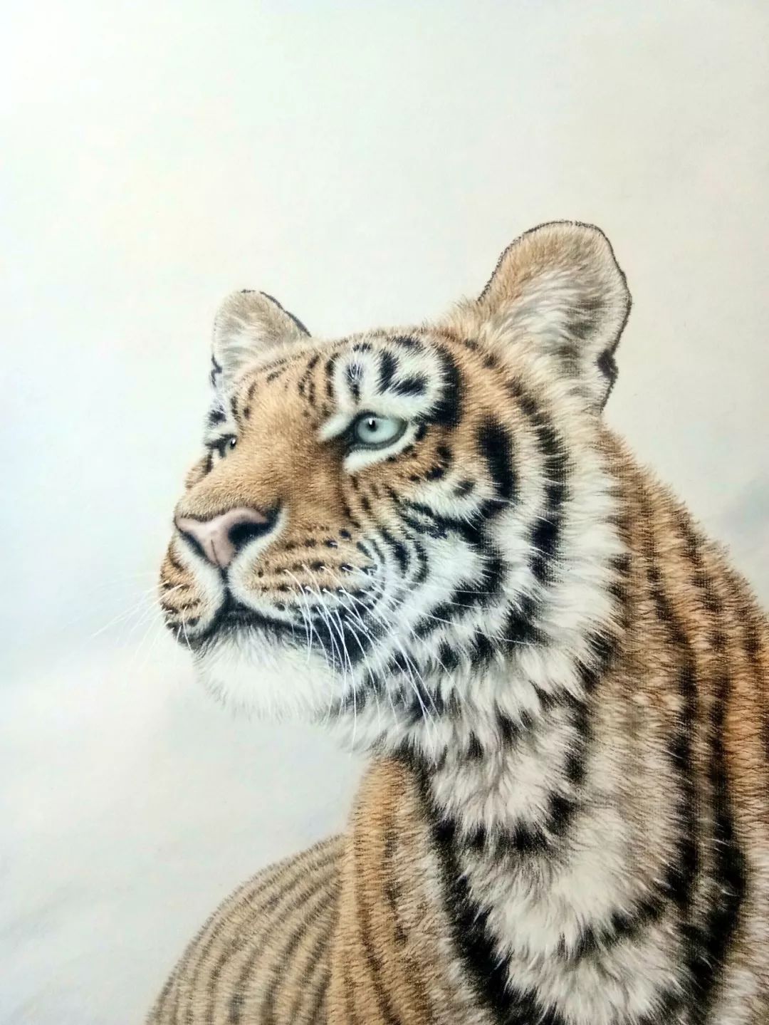 免费学工笔画,最全的画虎技法收集