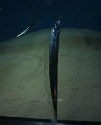 古代女人的奇葩冷知识,古代女子的奇葩知识