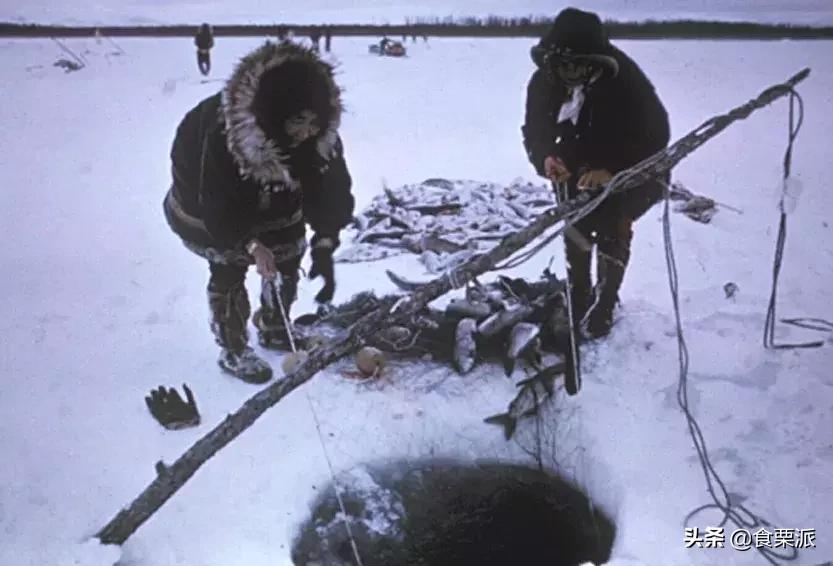 汉堡垃圾食品都有哪些,你以为的垃圾食品汉堡