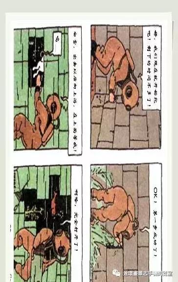 丁丁和丁丁历险记论文,丁丁历险记丁丁的服装